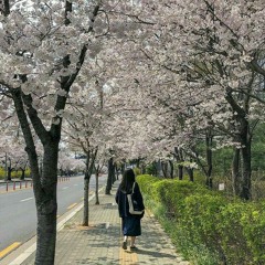 ✿⋆｡˚ under the cherry blossom trees ˚｡⋆ ✿