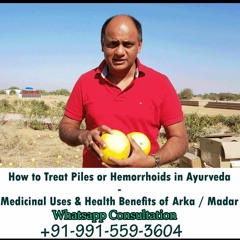 How to Treat Piles or Hemorrhoids in Ayurveda - Medicinal Uses & Health Benefits of Madar