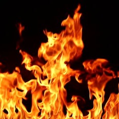 cosign verse ABD CHINO AND NEEG