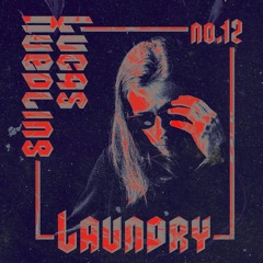 Laundry #12 Lucas Nuedling