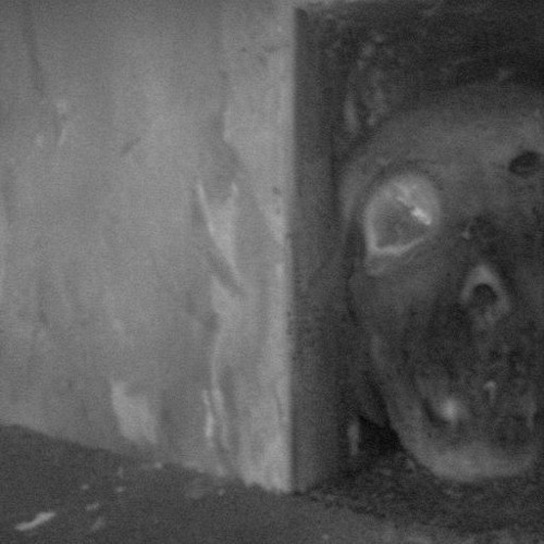 hollow case
