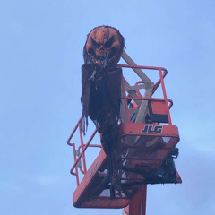 CAN’T FUNCTION w/ POLO PERKS <3 <3 <3