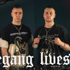 Riot Shift Presents VEGANG LIVESTREAM 001