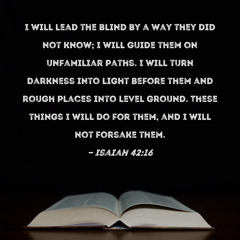 Blinded by Darkness