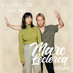 The Naked And Famous - Everybody Knows (Marc Leclercq Remix)