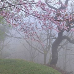 даже смерть мне не указ