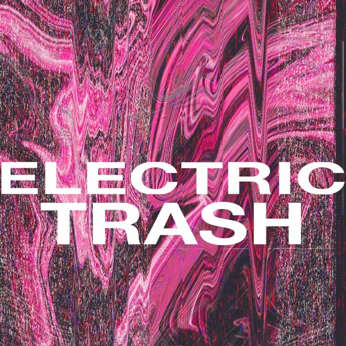 Shelley Johannson - Electric Trash