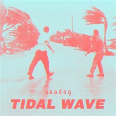 Tidal Wave (Radio Edit)