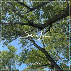 Serafin Sinfonia Op. 99 - Slow Child - The Trees Around Me
