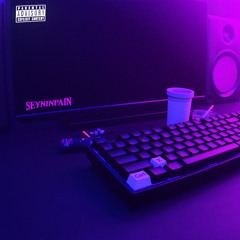 Seyninpain  - Ctrl + Z (Prodby. Sarbeat)