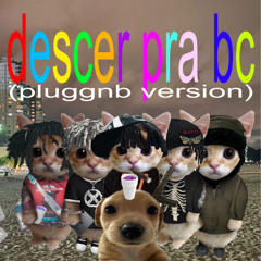descer pra bc (pluggnb version) [prod. dvzplugzz)