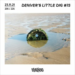 Denver's Little Dig #15