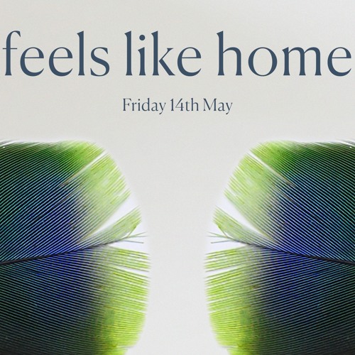 Feels Like Home (Moshe Halperin ft. Nessi Gomes)