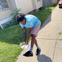 Rollin