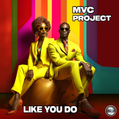 MVC Project- Like You Do (Extended Deep' ful Mix)