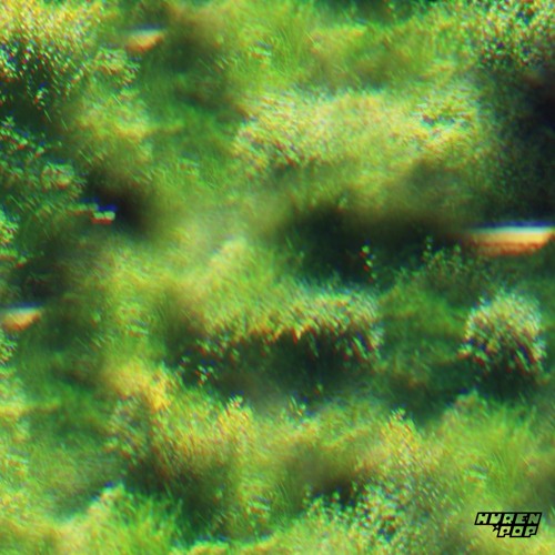 Vibes VI