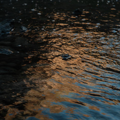 Andrzej Karalow – Some whispers of mists and water above, hidden in the rocks (2024)