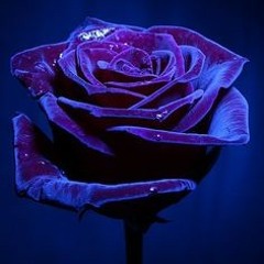 Slow Love Beat