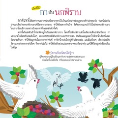 055 กากับนกพิราบ
