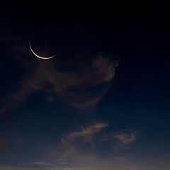 Yasser Al Dossary - Surah Anfal