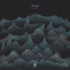 Bleak 2