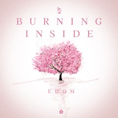 Burning inside