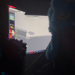 chaosfever - stupid cover