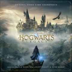 Soaring over Hogwarts