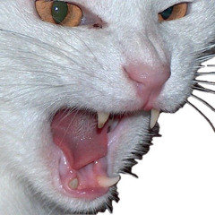 THE BOSS FIGHT IS A CAT?! (EVIL FUCKING CAT MUSIC)