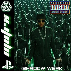 SHADOW WERK