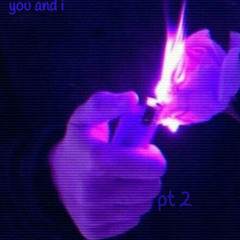 you and i pt 2 (feat. Freidrich$)