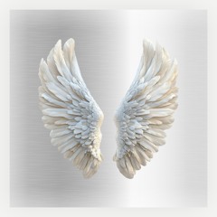 Nasty Boyz - Angel (Distorta Remix)