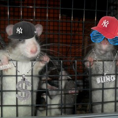 Don't Stop the Music