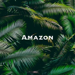 Heart of Amazon