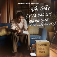 đôi giày chưa bao giờ đúng size (thì chắc giờ này)
