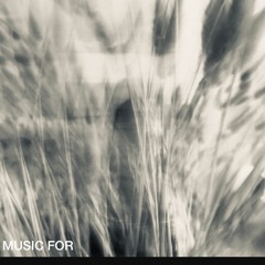 Music for
