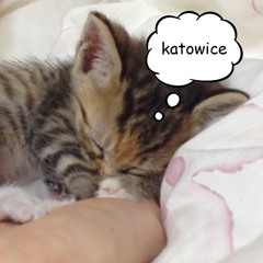 mlody wielblad - kato w moim snie