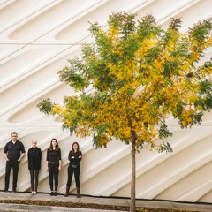 Modular Tree - Cassia Streb