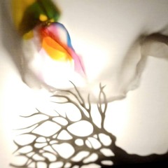 In The Shadow