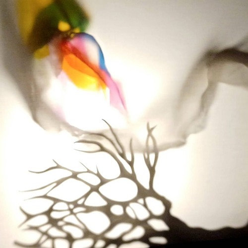 In The Shadow