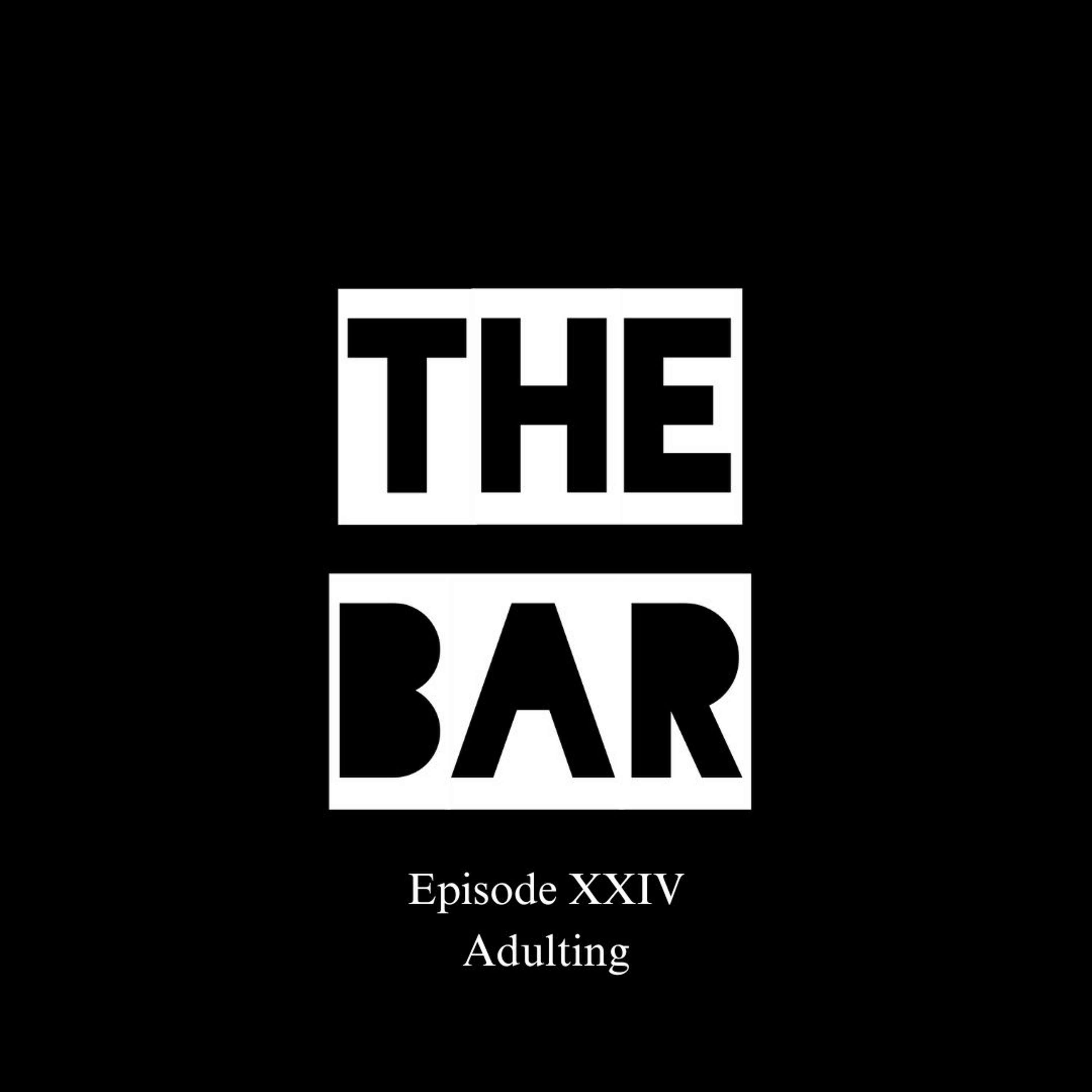 S03E04 - Reality Check: Adulting