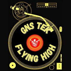 GnsTek - Flying High (220BPM)
