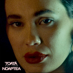 Toata noaptea