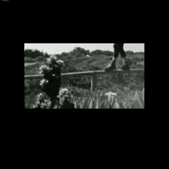 12. Tabaco y recuerdo