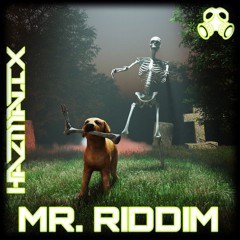 HAZMATIX - MR. RIDDIM