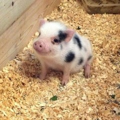 how much (prod. by heonn!)