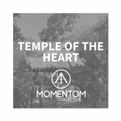 MOMENTOM x TEMPLE OF THE HEART cacao circle & ecstatic dance Maderas Nicaragua 18/02/23