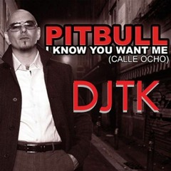 I Know You Want Me Pitbull 2023 DJTK