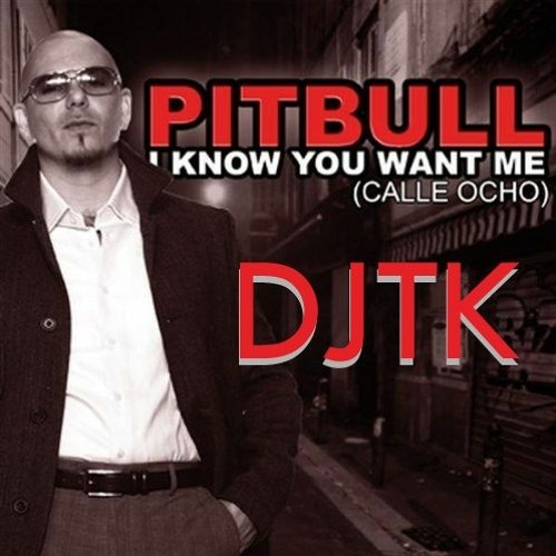 I Know You Want Me Pitbull 2023 DJTK