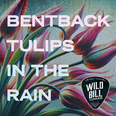BENTBACK TULIPS IN THE RAIN